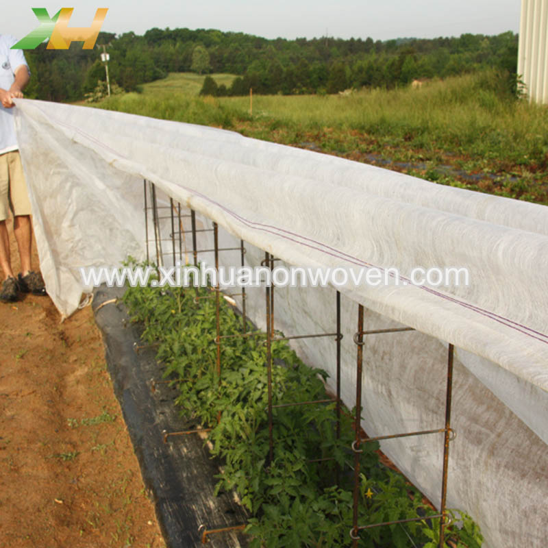 ¿Por qué se utilizan telas no tejidas en la agricultura?