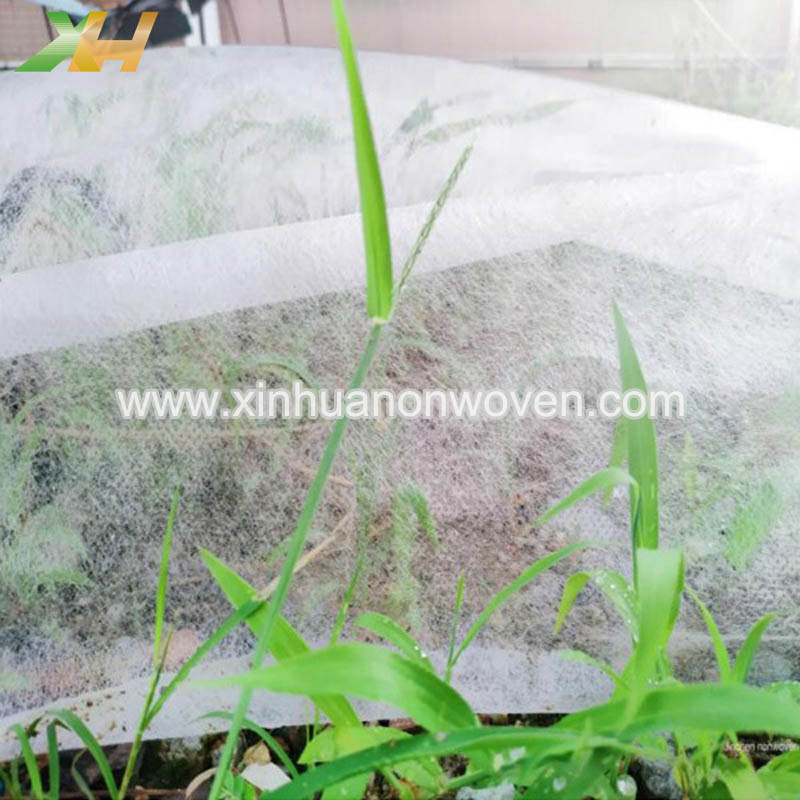 agriculture non woven fabric